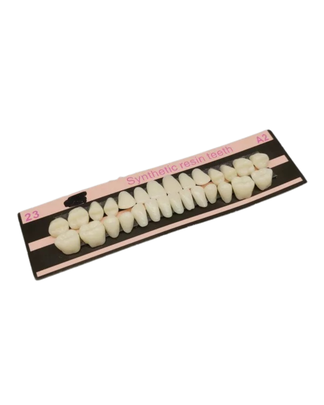 prostho setting teeth