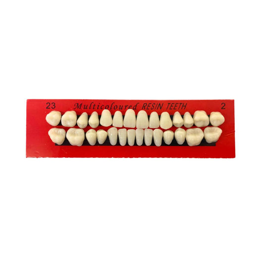 prostho setting teeth