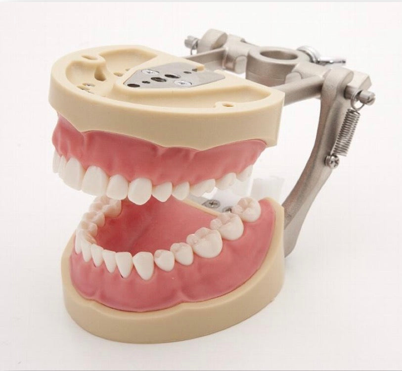 TRIMUNT SOFT JAW (high Quality)
