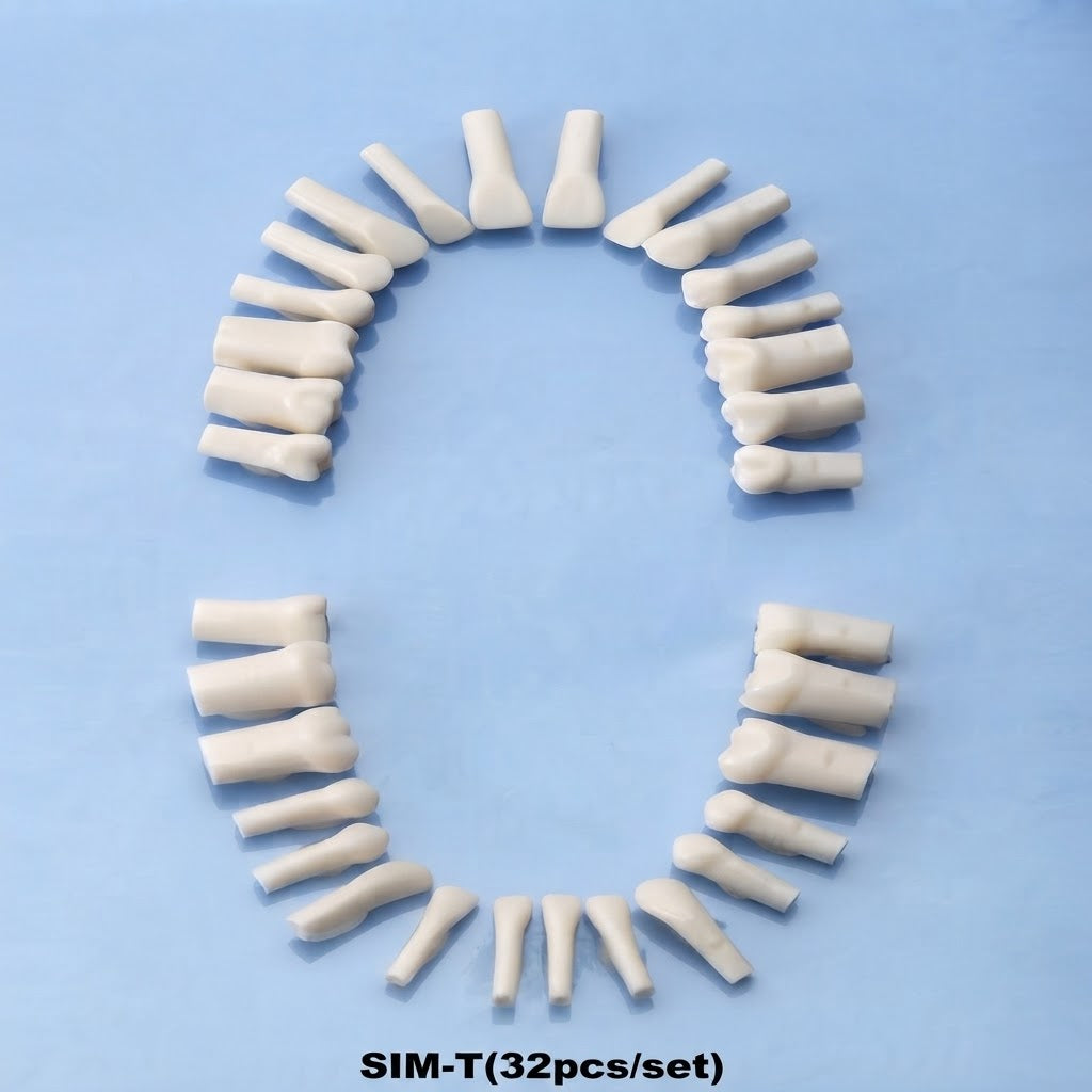 Japan plastic teeth