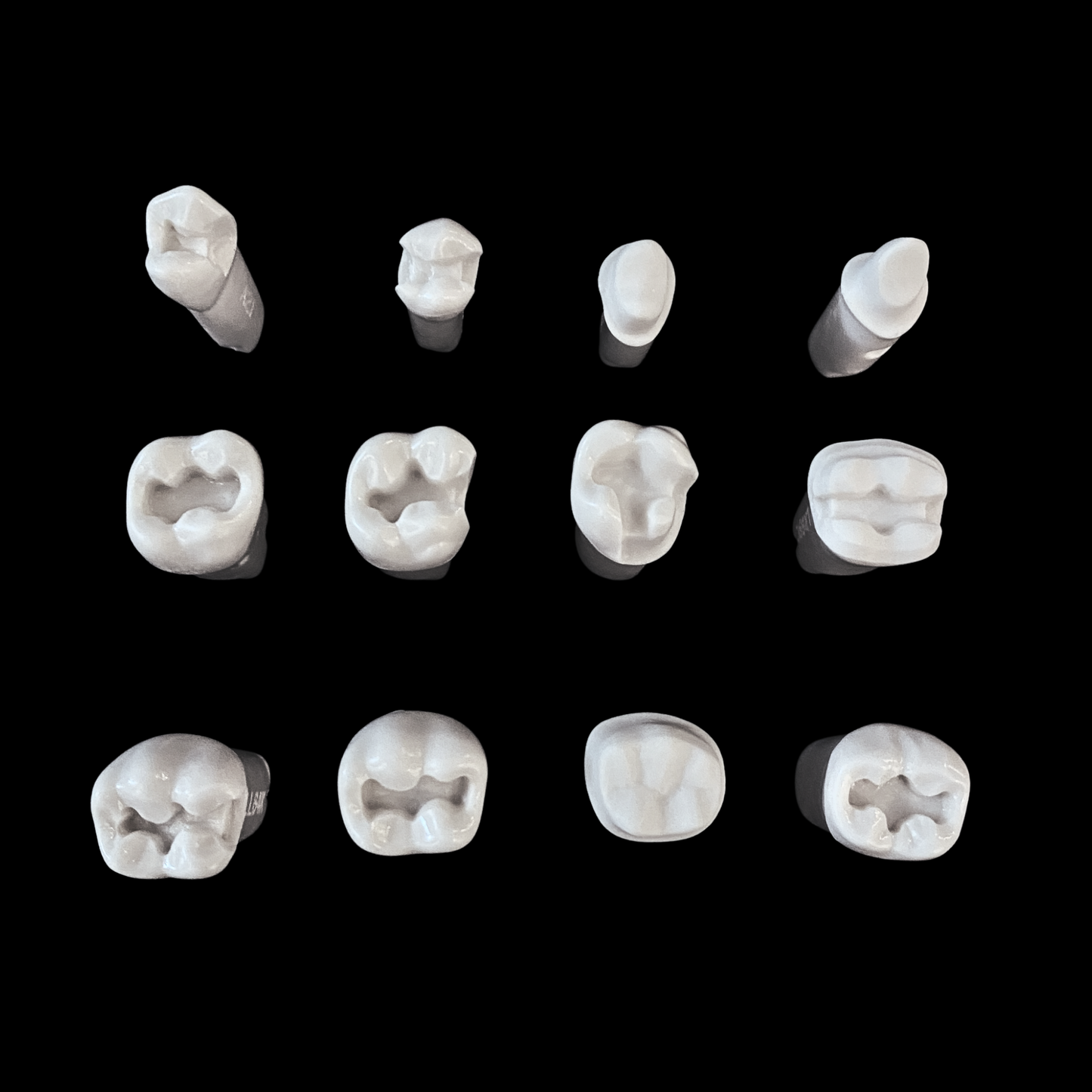 Japan prepared teeth