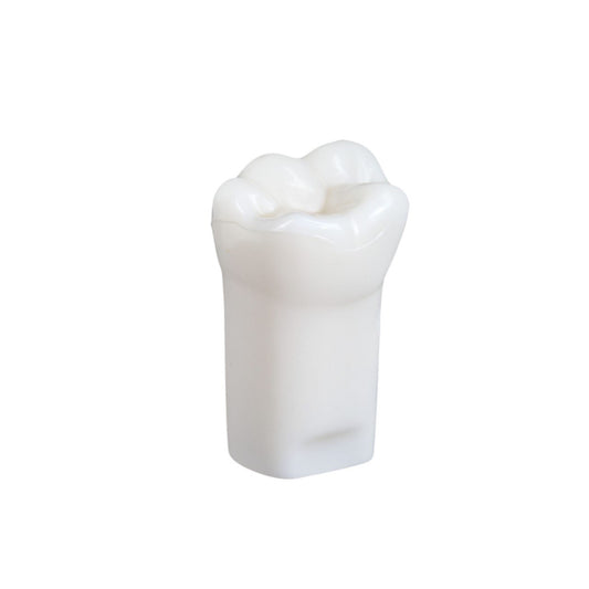 Dentashop plastic teeth