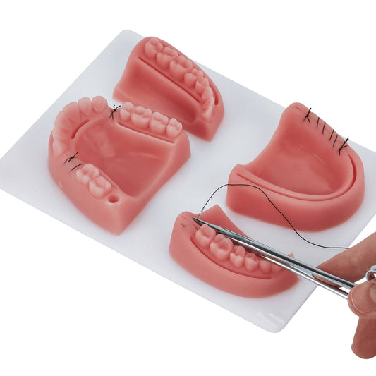 Oral Pad Suturing Model